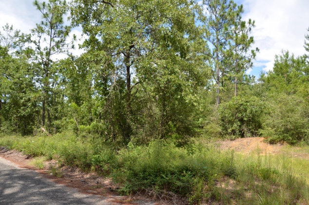 Defuniak Springs, Florida 32433, ,Land,For Sale,Watson,855378