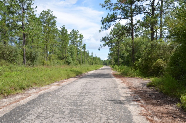 Defuniak Springs, Florida 32433, ,Land,For Sale,Watson,855378