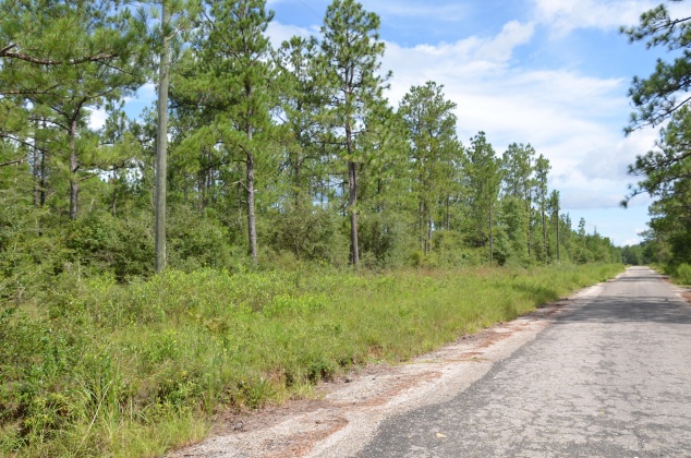 Defuniak Springs, Florida 32433, ,Land,For Sale,Watson,855378