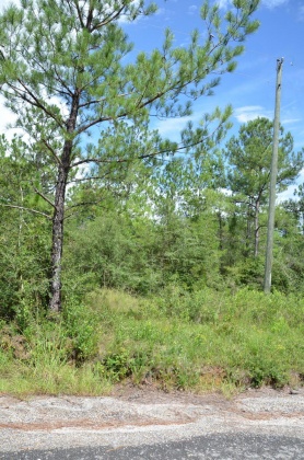 Defuniak Springs, Florida 32433, ,Land,For Sale,Watson,855378