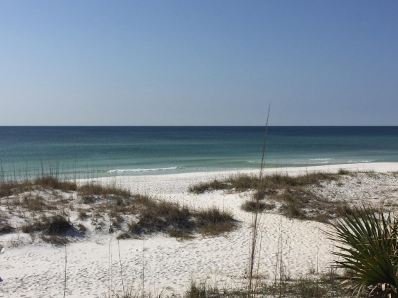Santa Rosa Beach, Florida 32459, ,Land,For Sale,Blue Bell Circle,855640