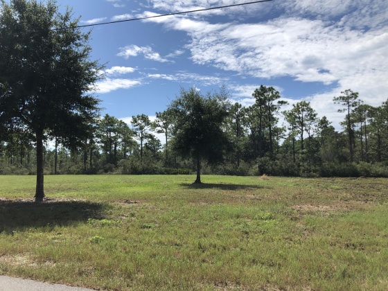 Santa Rosa Beach, Florida 32459, ,Land,For Sale,Blue Bell Circle,855640