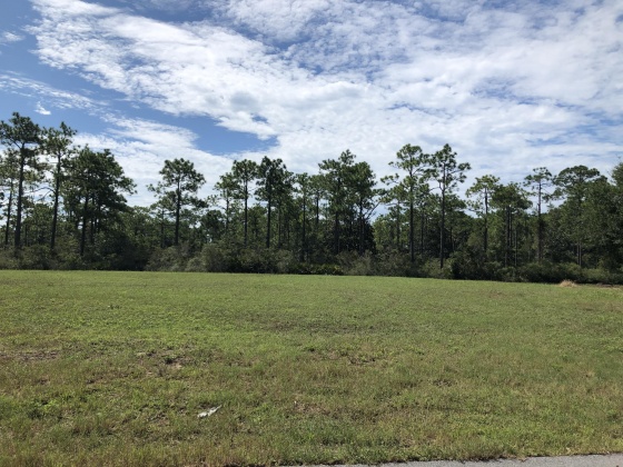Santa Rosa Beach, Florida 32459, ,Land,For Sale,Blue Bell Circle,855640