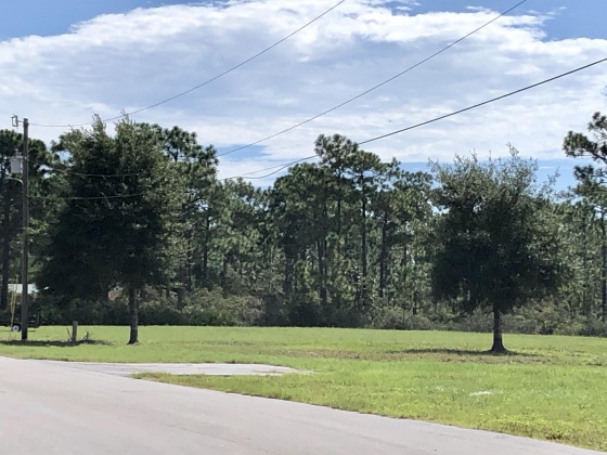 Santa Rosa Beach, Florida 32459, ,Land,For Sale,Blue Bell Circle,855640