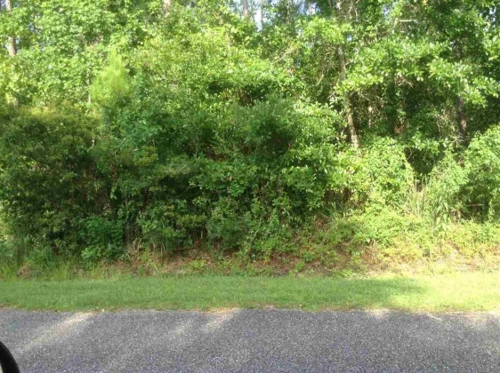 Milton, Florida 32583, ,Land,For Sale,Bayside,855697