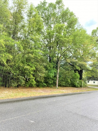 Defuniak Springs, Florida 32435, ,Land,For Sale,25th Street,843941