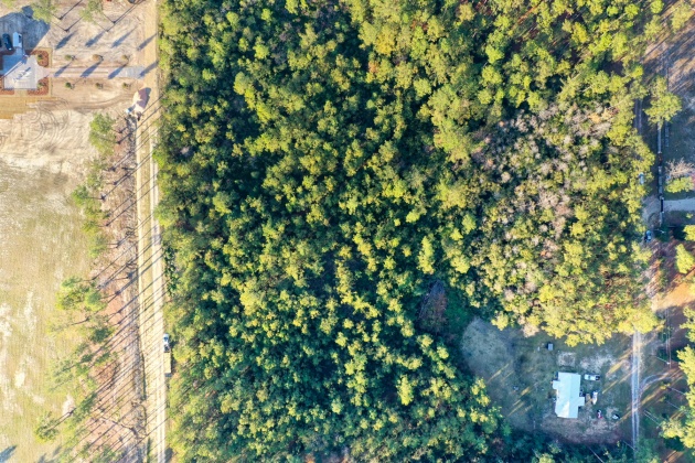 Freeport, Florida 32439, ,Land,For Sale,Weed Patch,855876