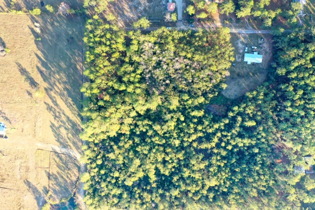 Freeport, Florida 32439, ,Land,For Sale,Weed Patch,855876