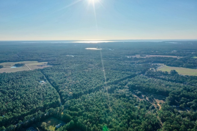 Freeport, Florida 32439, ,Land,For Sale,Weed Patch,855876