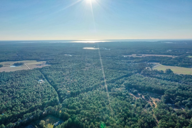 Freeport, Florida 32439, ,Land,For Sale,Weed Patch,855876