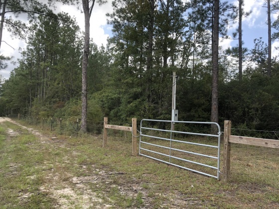 Freeport, Florida 32439, ,Land,For Sale,Weed Patch,855876