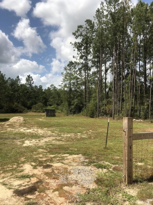Freeport, Florida 32439, ,Land,For Sale,Weed Patch,855876