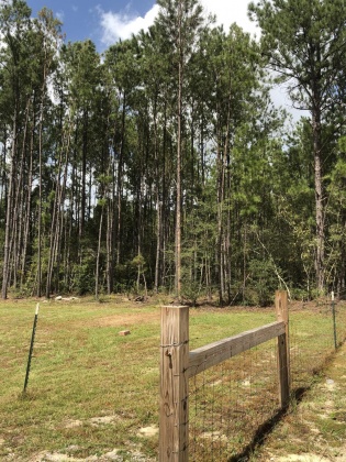 Freeport, Florida 32439, ,Land,For Sale,Weed Patch,855876