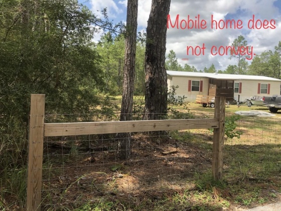 Freeport, Florida 32439, ,Land,For Sale,Weed Patch,855876
