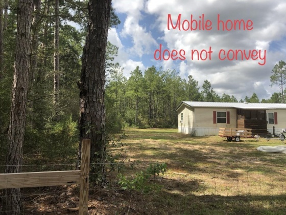 Freeport, Florida 32439, ,Land,For Sale,Weed Patch,855876