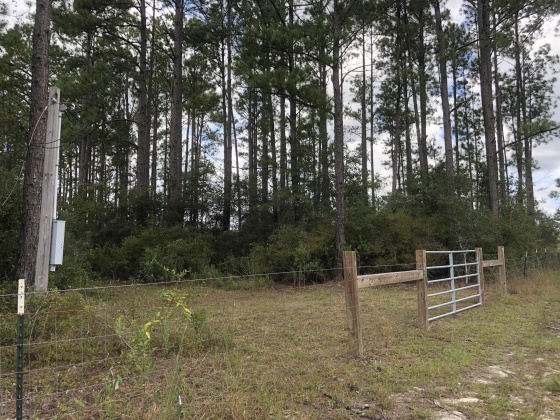 Freeport, Florida 32439, ,Land,For Sale,Weed Patch,855876