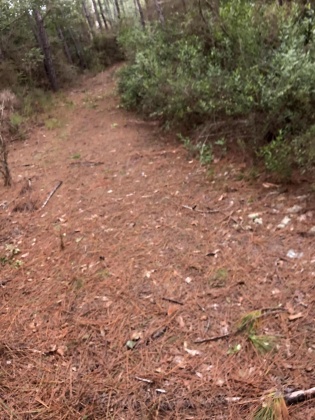 Freeport, Florida 32439, ,Land,For Sale,Weed Patch,855876