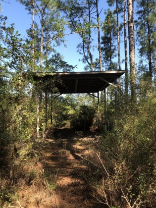 Freeport, Florida 32439, ,Land,For Sale,Weed Patch,855876