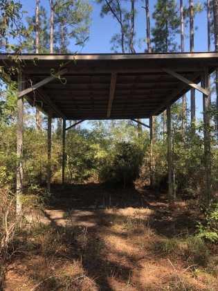 Freeport, Florida 32439, ,Land,For Sale,Weed Patch,855876