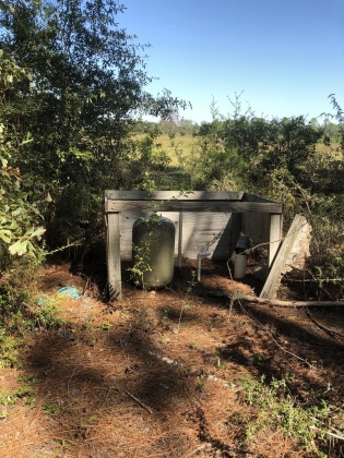 Freeport, Florida 32439, ,Land,For Sale,Weed Patch,855876