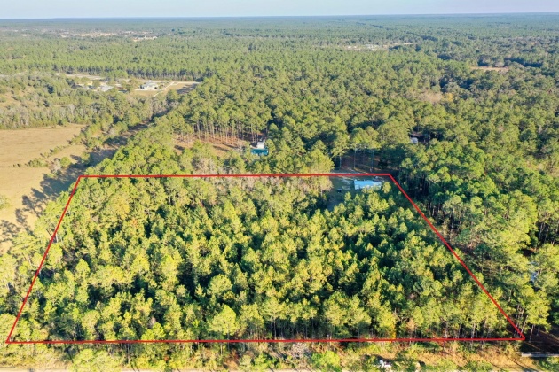 Freeport, Florida 32439, ,Land,For Sale,Weed Patch,855876