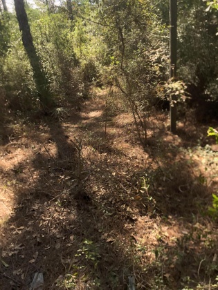 Freeport, Florida 32439, ,Land,For Sale,Weed Patch,855876