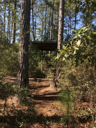 Freeport, Florida 32439, ,Land,For Sale,Weed Patch,855876