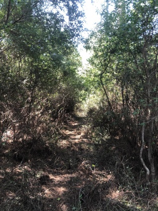 Freeport, Florida 32439, ,Land,For Sale,Weed Patch,855876