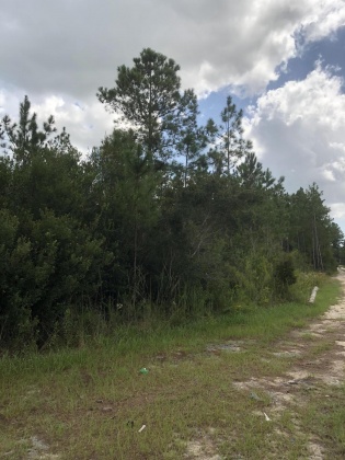 Freeport, Florida 32439, ,Land,For Sale,Weed Patch,855876