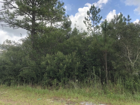 Freeport, Florida 32439, ,Land,For Sale,Weed Patch,855876