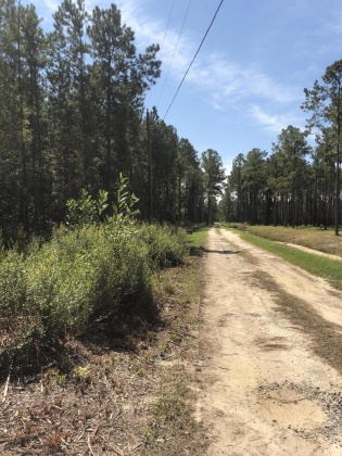 Freeport, Florida 32439, ,Land,For Sale,Weed Patch,855876
