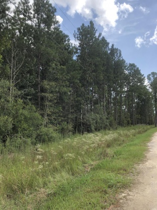 Freeport, Florida 32439, ,Land,For Sale,Weed Patch,855876