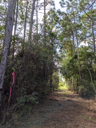 Santa Rosa Beach, Florida 32459, ,Land,For Sale,Calm Gulf,856033