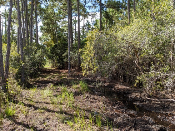 Santa Rosa Beach, Florida 32459, ,Land,For Sale,Calm Gulf,856033