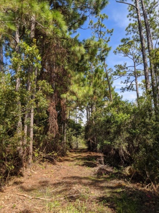 Santa Rosa Beach, Florida 32459, ,Land,For Sale,Calm Gulf,856033