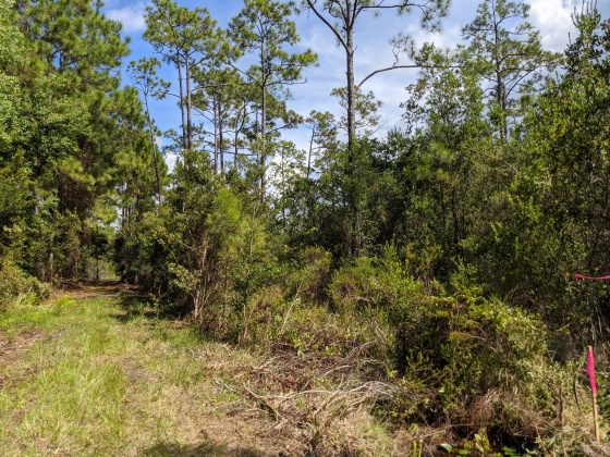 Santa Rosa Beach, Florida 32459, ,Land,For Sale,Calm Gulf,856033