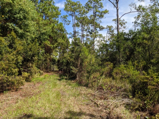 Santa Rosa Beach, Florida 32459, ,Land,For Sale,Calm Gulf,856033