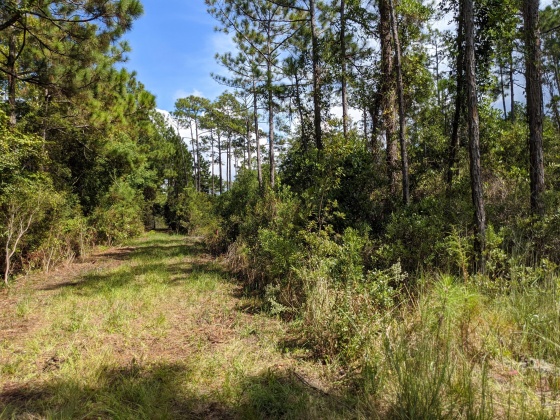 Santa Rosa Beach, Florida 32459, ,Land,For Sale,Calm Gulf,856033