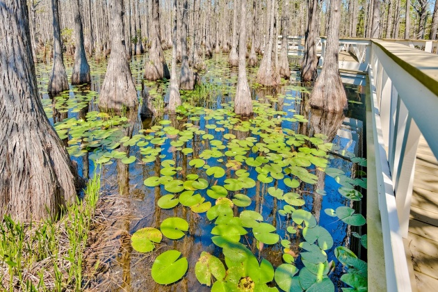 Santa Rosa Beach, Florida 32459, ,Land,For Sale,Cypress,856093