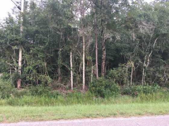 Milton, Florida 32583, ,Land,For Sale,Austin Rd,856407