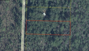 Ponce De Leon, Florida 32455, ,Land,For Sale,Jim Roberts Road,833613