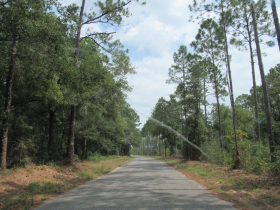 Vernon, Florida 32462, ,Land,For Sale,Bunker Creek Area,833608