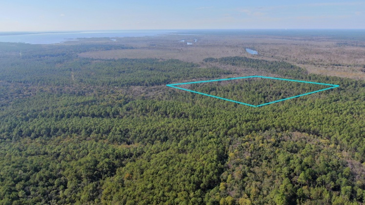 Vernon, Florida 32462, ,Land,For Sale,Bunker Creek Area,833608