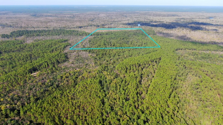 Vernon, Florida 32462, ,Land,For Sale,Bunker Creek Area,833608