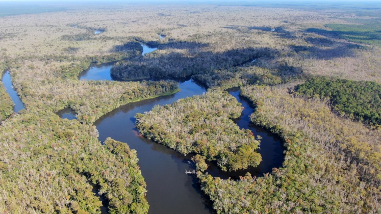 Vernon, Florida 32462, ,Land,For Sale,Bunker Creek Area,833608