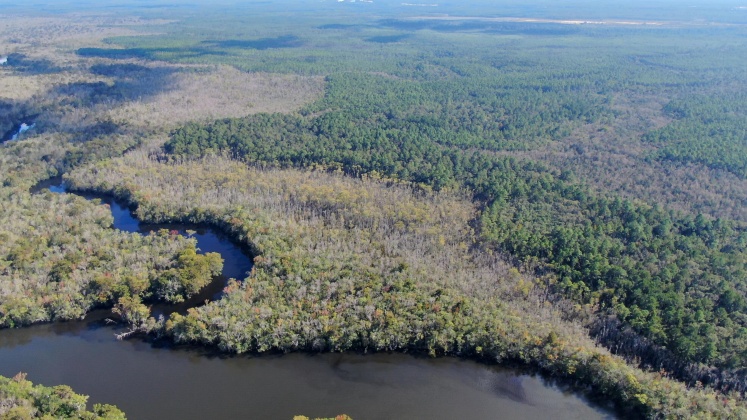 Vernon, Florida 32462, ,Land,For Sale,Bunker Creek Area,833608