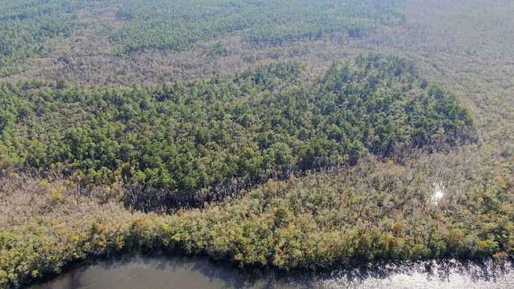 Vernon, Florida 32462, ,Land,For Sale,Bunker Creek Area,833608
