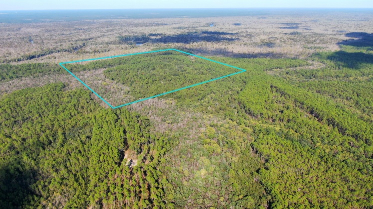 Vernon, Florida 32462, ,Land,For Sale,Bunker Creek Area,833608