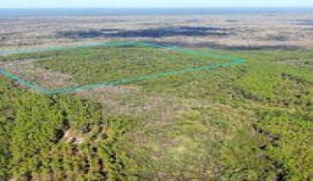 Vernon, Florida 32462, ,Land,For Sale,Bunker Creek Area,833608
