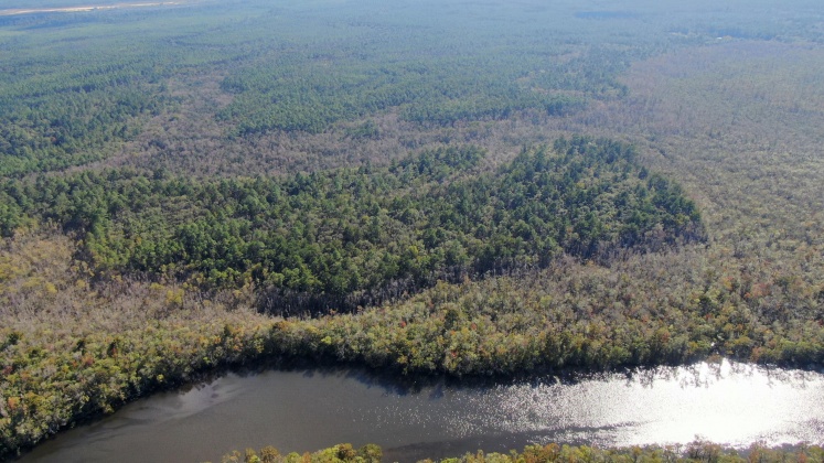 Vernon, Florida 32462, ,Land,For Sale,Bunker Creek Area,833608